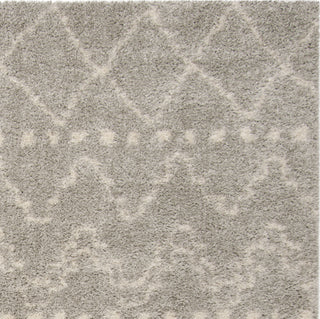 Safavieh Arizona Shag ASG750D Grey/Ivory Area Rug