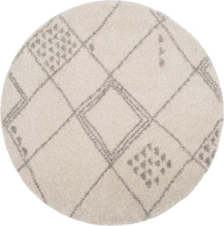 Safavieh Arizona Shag ASG751G Ivory/Grey Area Rug