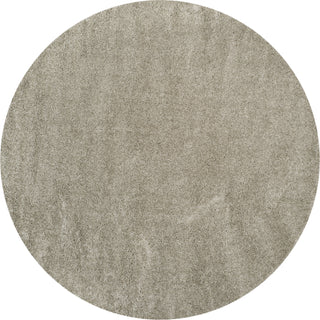 Safavieh Arizona Shag ASG820C Silver Area Rug