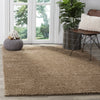 Safavieh Arizona Shag ASG820K Taupe Area Rug