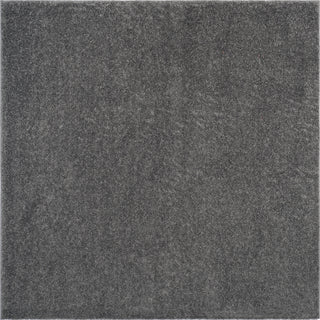 Safavieh Arizona Shag ASG820V Dark Grey Area Rug