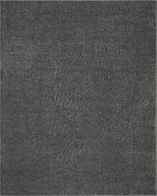 Safavieh Arizona Shag ASG820V Dark Grey Area Rug