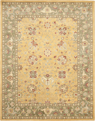 Safavieh Antiquity At21 Gold Area Rug Main