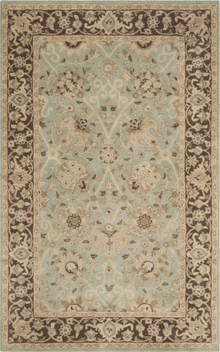 Safavieh Antiquity At21 Green/Brown Area Rug Main