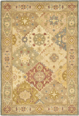 Safavieh Antiquity At316 Multi/Beige Area Rug Main