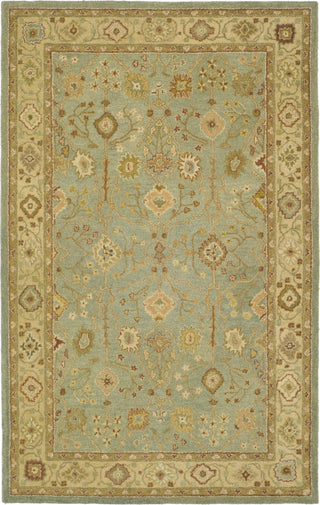 Safavieh Antiquity At317 Teal/Beige Area Rug main image