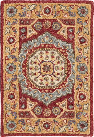 Safavieh Antiquity 501 Red/Orange Area Rug 