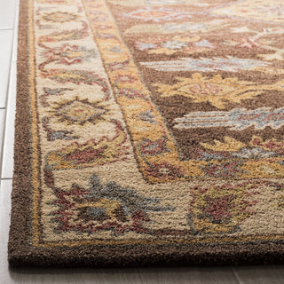 Safavieh Antiquity 502 Dark Brown/Ivory Area Rug Detail