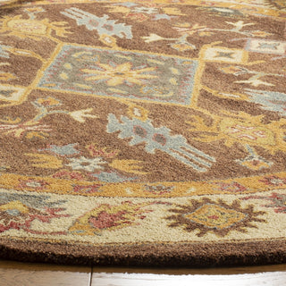 Safavieh Antiquity 502 Dark Brown/Ivory Area Rug Detail