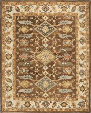 Safavieh Antiquity 502 Dark Brown/Ivory Area Rug Main