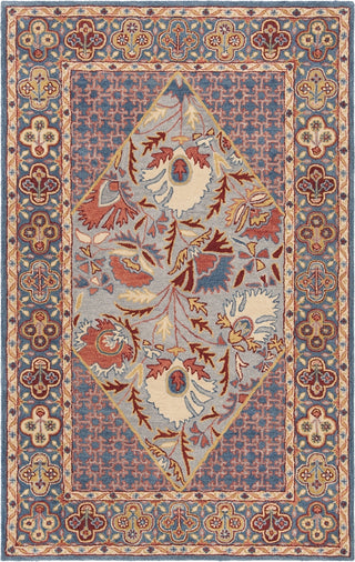 Safavieh Antiquity 508 Blue/Red Area Rug main image