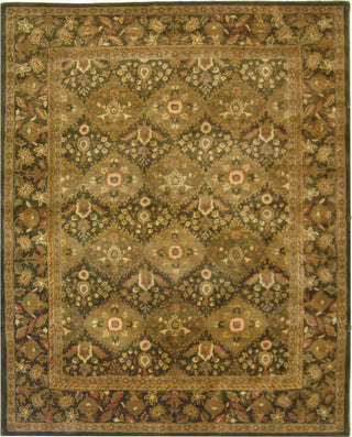 Safavieh Antiquity At57 Olive Area Rug Main