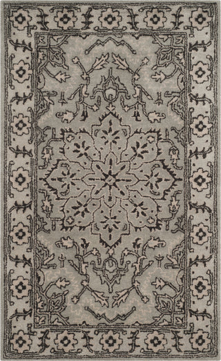 Safavieh Antiquity 58 Grey/Beige Area Rug main image