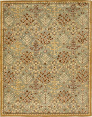 Safavieh Antiquity At613 Light Blue/Gold Area Rug Main