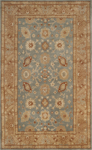 Safavieh Antiquity 61 Blue/Beige Area Rug Main