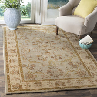 Safavieh Antiquity 62 Light Grey/Beige Area Rug Room Scene