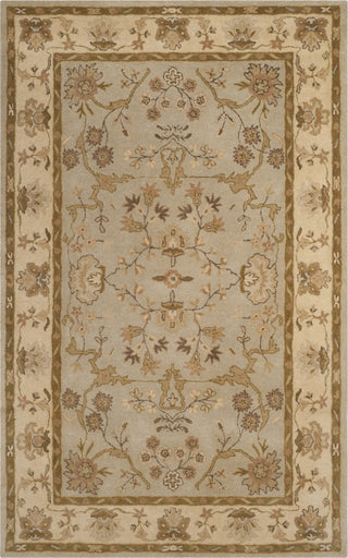 Safavieh Antiquity 62 Light Grey/Beige Area Rug Main