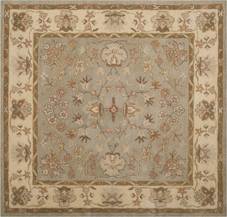 Safavieh Antiquity 62 Light Grey/Beige Area Rug Square