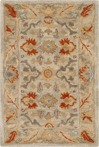 Safavieh Antiquity 63 Beige/Multi Area Rug 