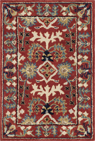 Safavieh Antiquity 64 Red/Multi Area Rug 