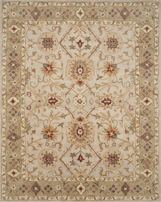 Safavieh Antiquity 816 Grey Beige/Sage Area Rug Main