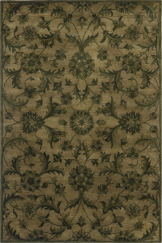 Safavieh Antiquity 824 Olive/Green Area Rug Main