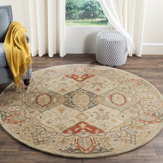 Safavieh Antiquity 830 Beige/Multi Area Rug Room Scene