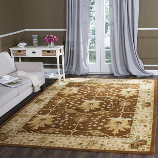 Safavieh Antiquity 840 Brown/Beige Area Rug Room Scene