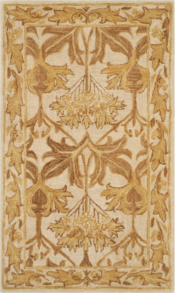 Safavieh Antiquity 841 Beige/Gold Area Rug main image