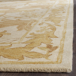 Safavieh Antiquity 841 Beige/Gold Area Rug Detail