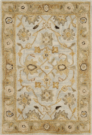 Safavieh Antiquity 856 Light Blue/Sage Area Rug 