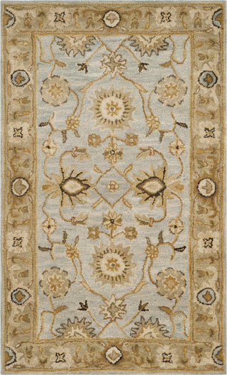 Safavieh Antiquity 856 Light Blue/Sage Area Rug main image