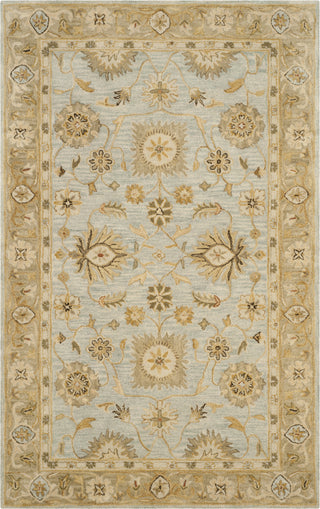 Safavieh Antiquity 856 Light Blue/Sage Area Rug Main