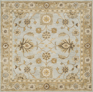 Safavieh Antiquity 856 Light Blue/Sage Area Rug Square