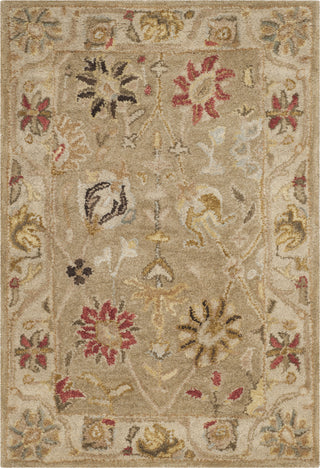 Safavieh Antiquity 859 Taupe/Beige Area Rug 