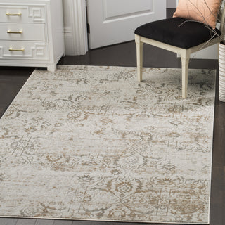 Safavieh Artifact ATF237C Grey/Cream Area Rug