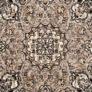 Safavieh Atlas ATL668G Black/Ivory Area Rug