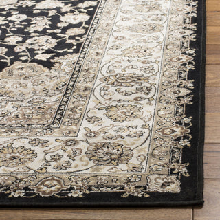 Safavieh Atlas ATL668G Black/Ivory Area Rug