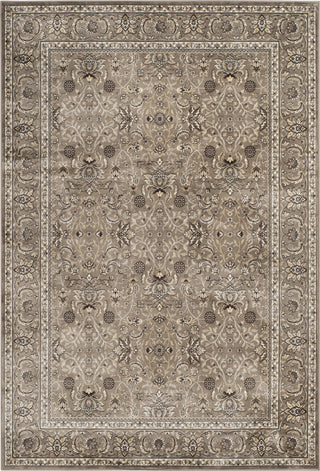 Safavieh Atlas ATL671P Silver/Silver Area Rug main image