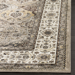 Safavieh Atlas ATL673T Silver/Ivory Area Rug 