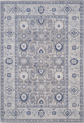 Safavieh Artisan ATN322B Grey/Silver Area Rug main image