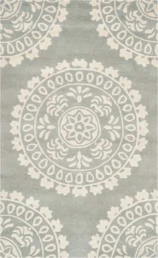 Safavieh Bella 122 Grey/Ivory Area Rug main image