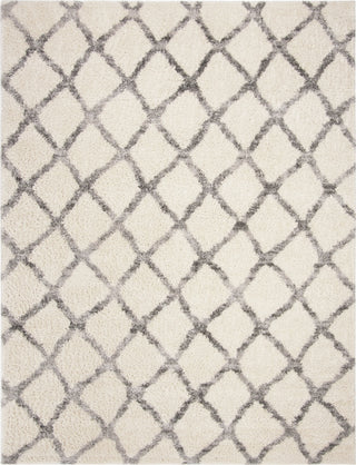 Safavieh Berber Shag 200 BER215B Ivory/Grey Area Rug Main Image