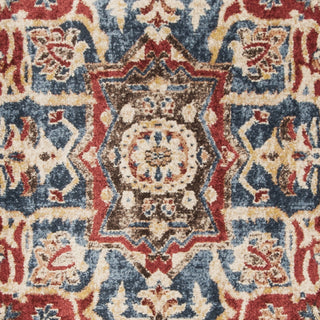 Safavieh Bijar BIJ605R Red/Royal Area Rug 