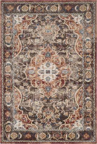 Safavieh Bijar BIJ648D Brown/Rust Area Rug main image