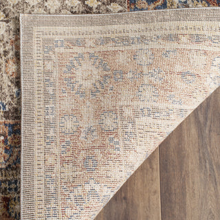 Safavieh Bijar BIJ652D Brown/Rust Area Rug 