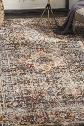 Safavieh Bijar BIJ652D Brown/Rust Area Rug 