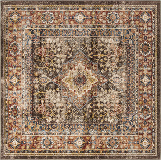 Safavieh Bijar BIJ652D Brown/Rust Area Rug 