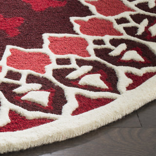 Safavieh Bellagio 610 Red/Ivory Area Rug Detail