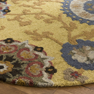 Safavieh Blossom 401 Gold/Multi Area Rug Detail